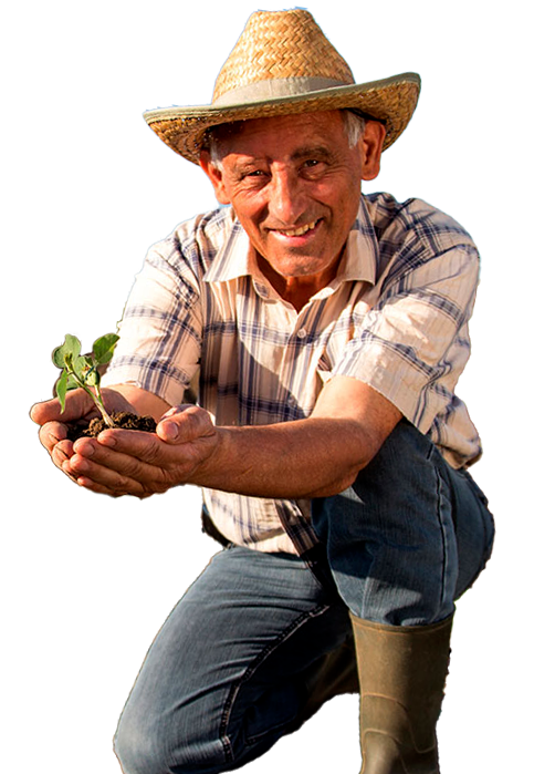 Hombre Fondo